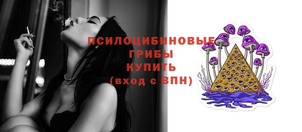 2c-b Нязепетровск