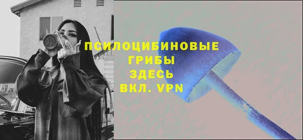 амф Новозыбков