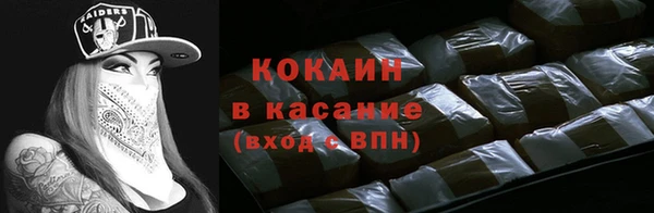 амф Новозыбков