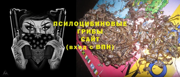 герыч Няндома