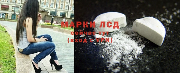 амф Новозыбков