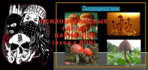 амф Новозыбков