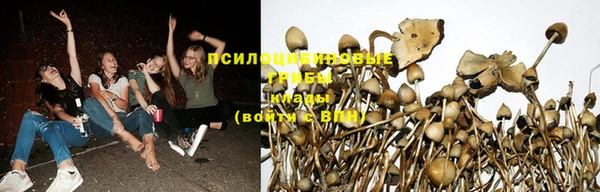 герыч Няндома