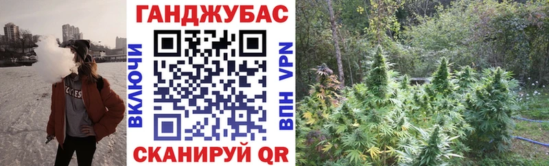 Купить закладки  Дно  Конопля AK-47 